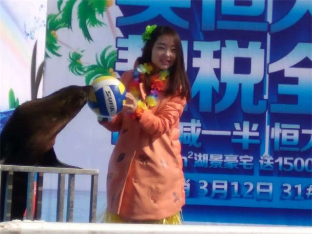 海獅表演