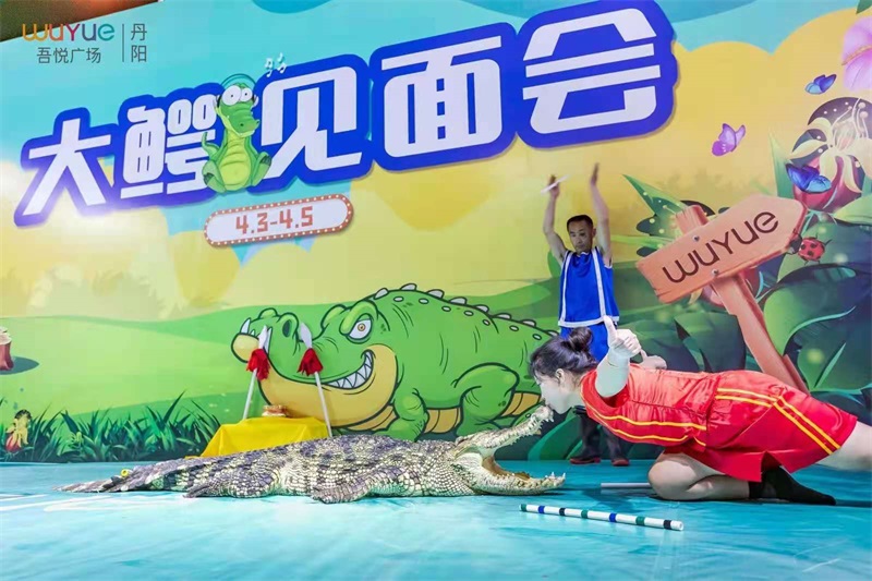 鱷魚表演