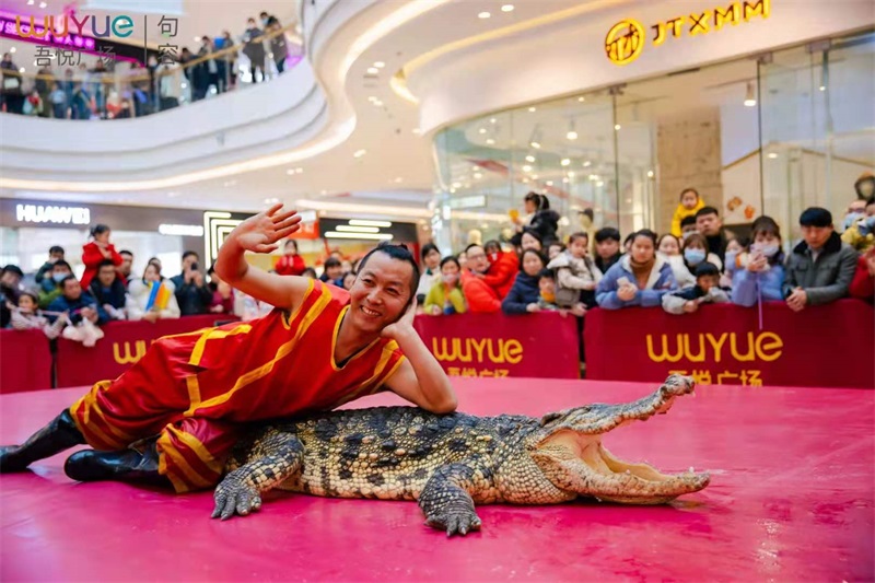 鱷魚表演