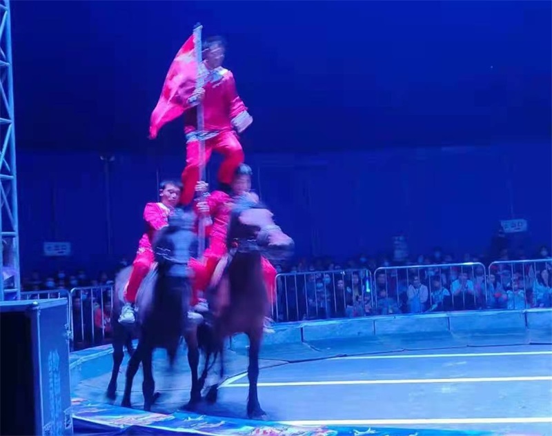 馬術(shù)表演