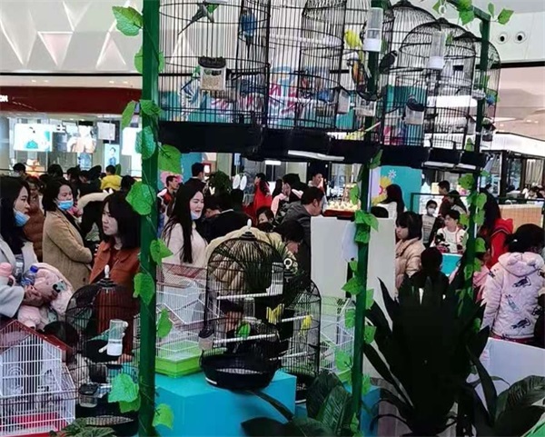 百鳥展覽