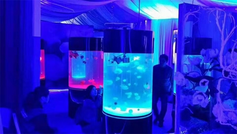 海洋生物展