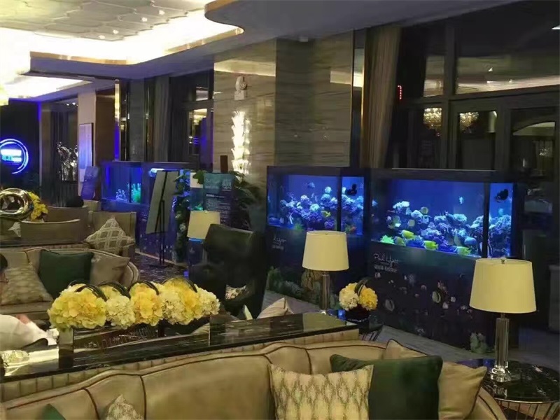 海洋生物展
