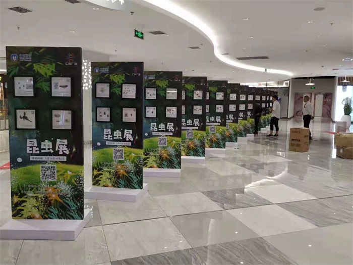 蝴蝶昆蟲展