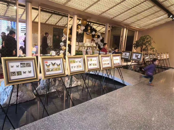 蝴蝶昆蟲展