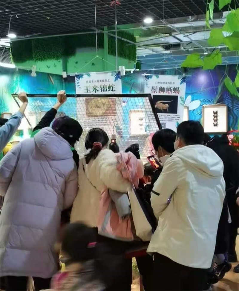 兩棲爬蟲展