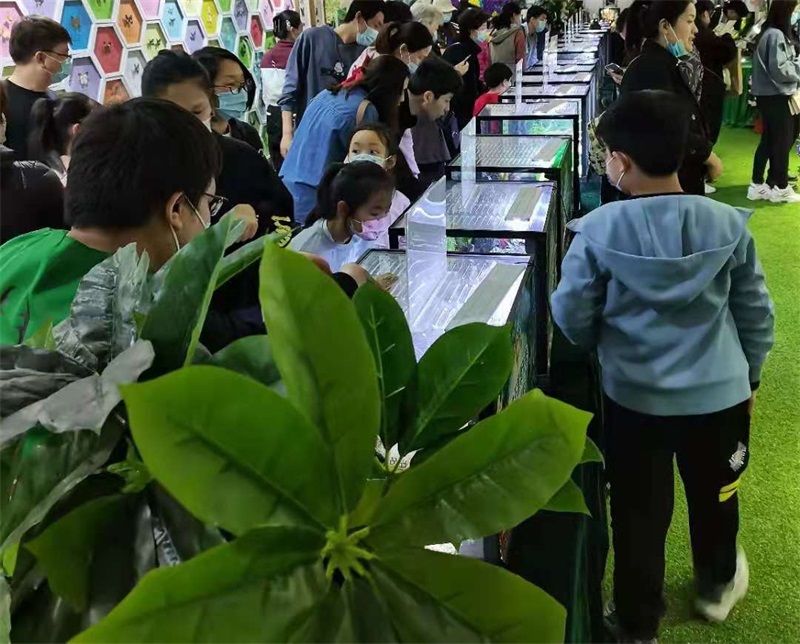 兩棲爬蟲展