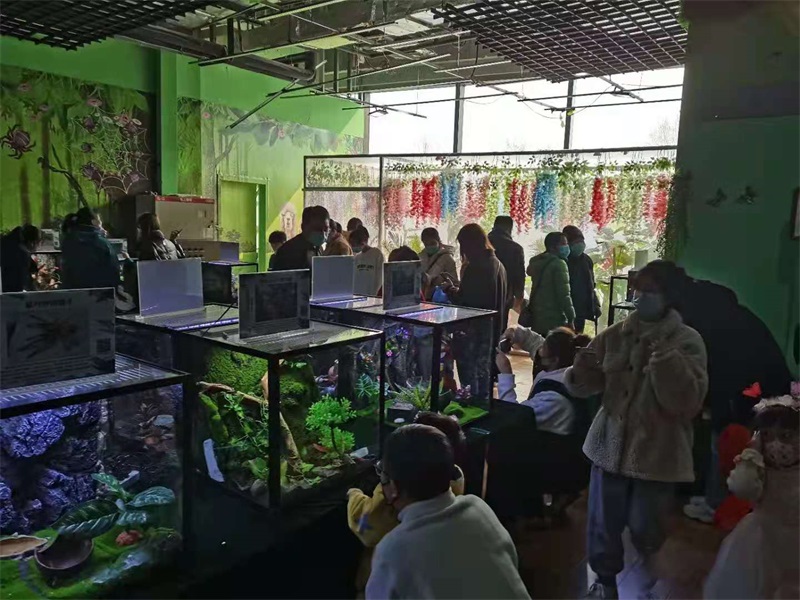 兩棲爬蟲展