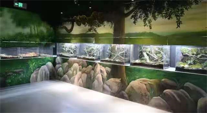 兩棲爬蟲展