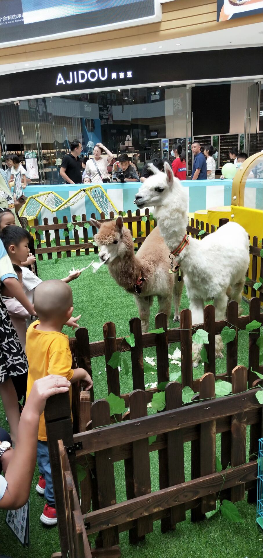 111.jpg