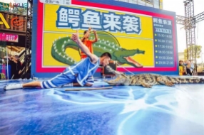 鱷魚(yú)表演