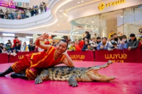 鱷魚(yú)表演