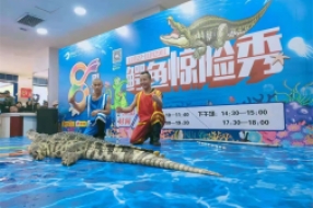 鱷魚(yú)表演