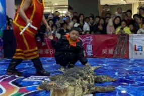 鱷魚(yú)表演