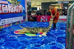 鱷魚(yú)表演