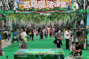 百鳥(niǎo)展覽