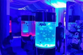 海洋生物展