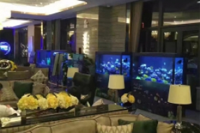 海洋生物展
