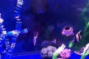 海洋生物展