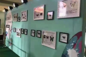 蝴蝶昆蟲展