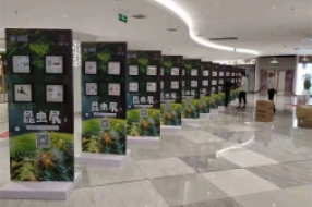 蝴蝶昆蟲展
