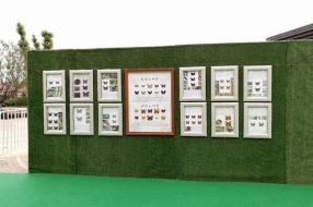 蝴蝶昆蟲展