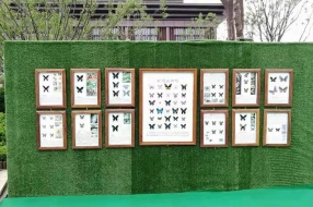 蝴蝶昆蟲展