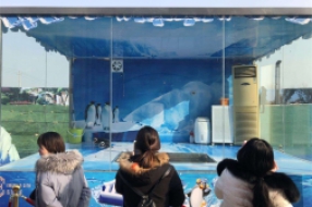 企鵝展覽