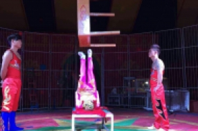 雜技表演