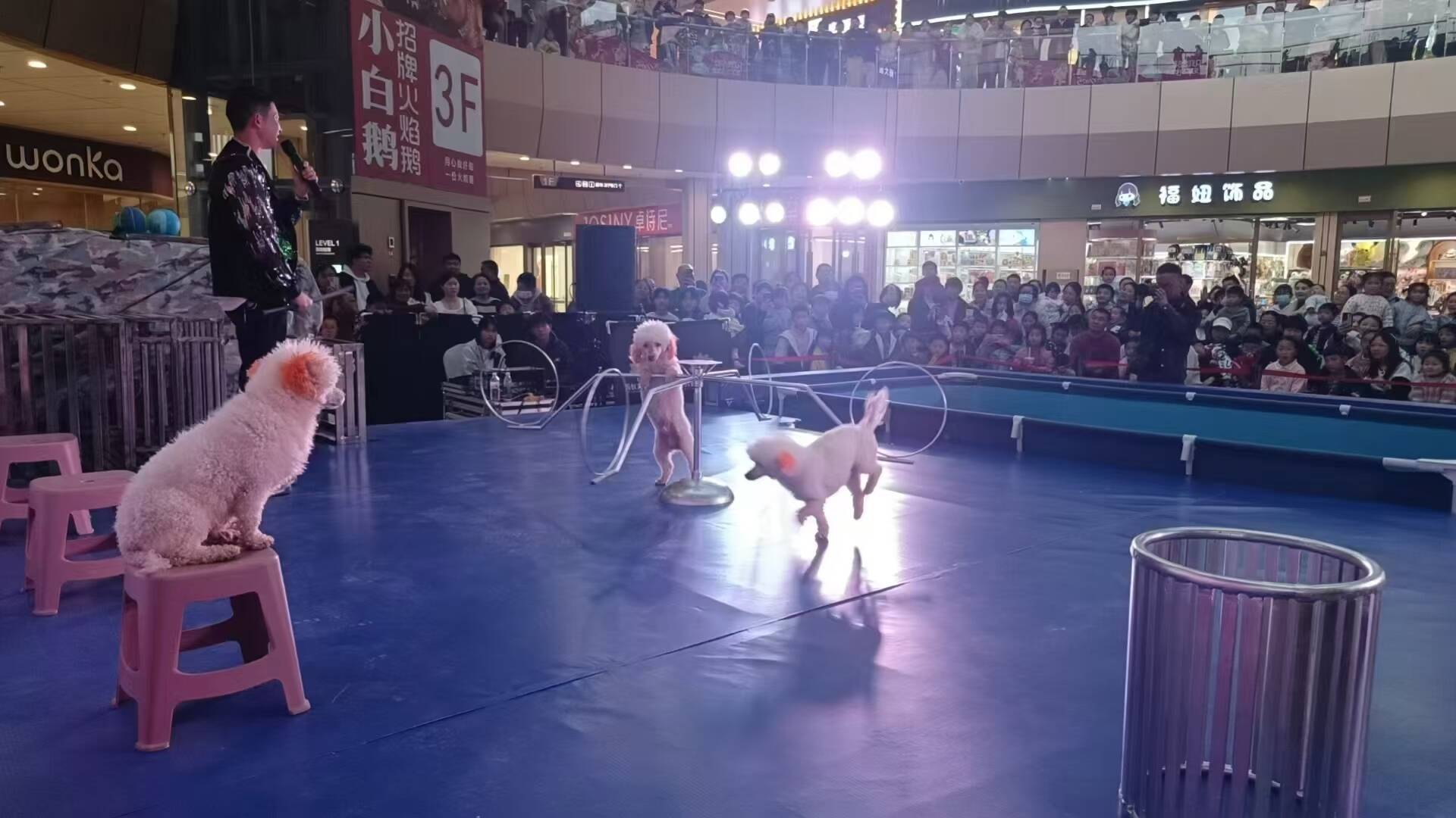 2-25040P9143B24.jpg